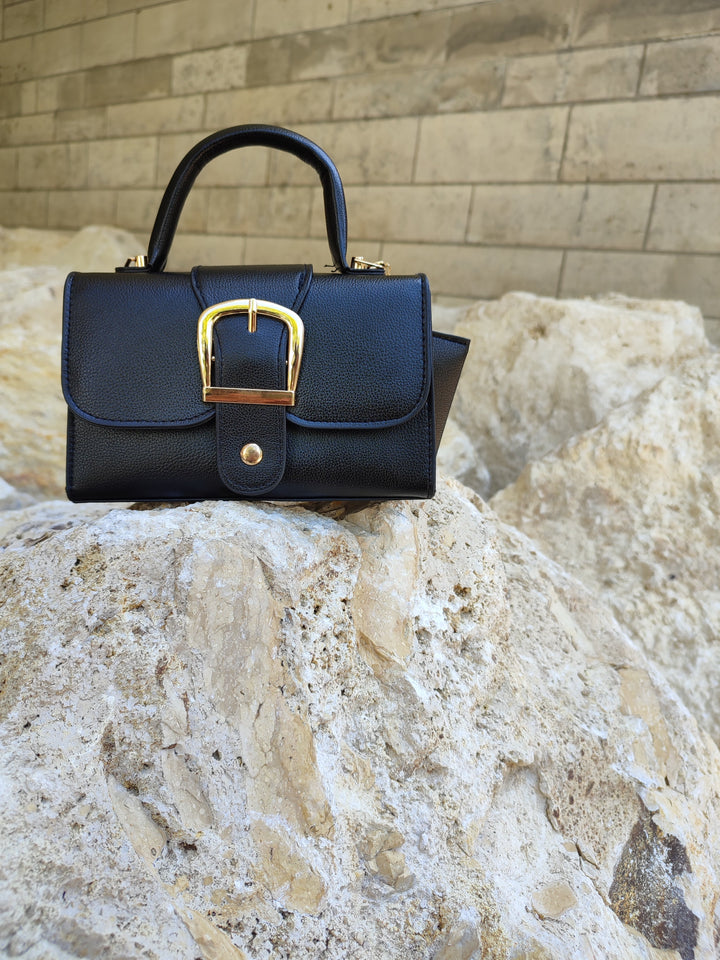 Luxurious vegan leather handbag & wallet set