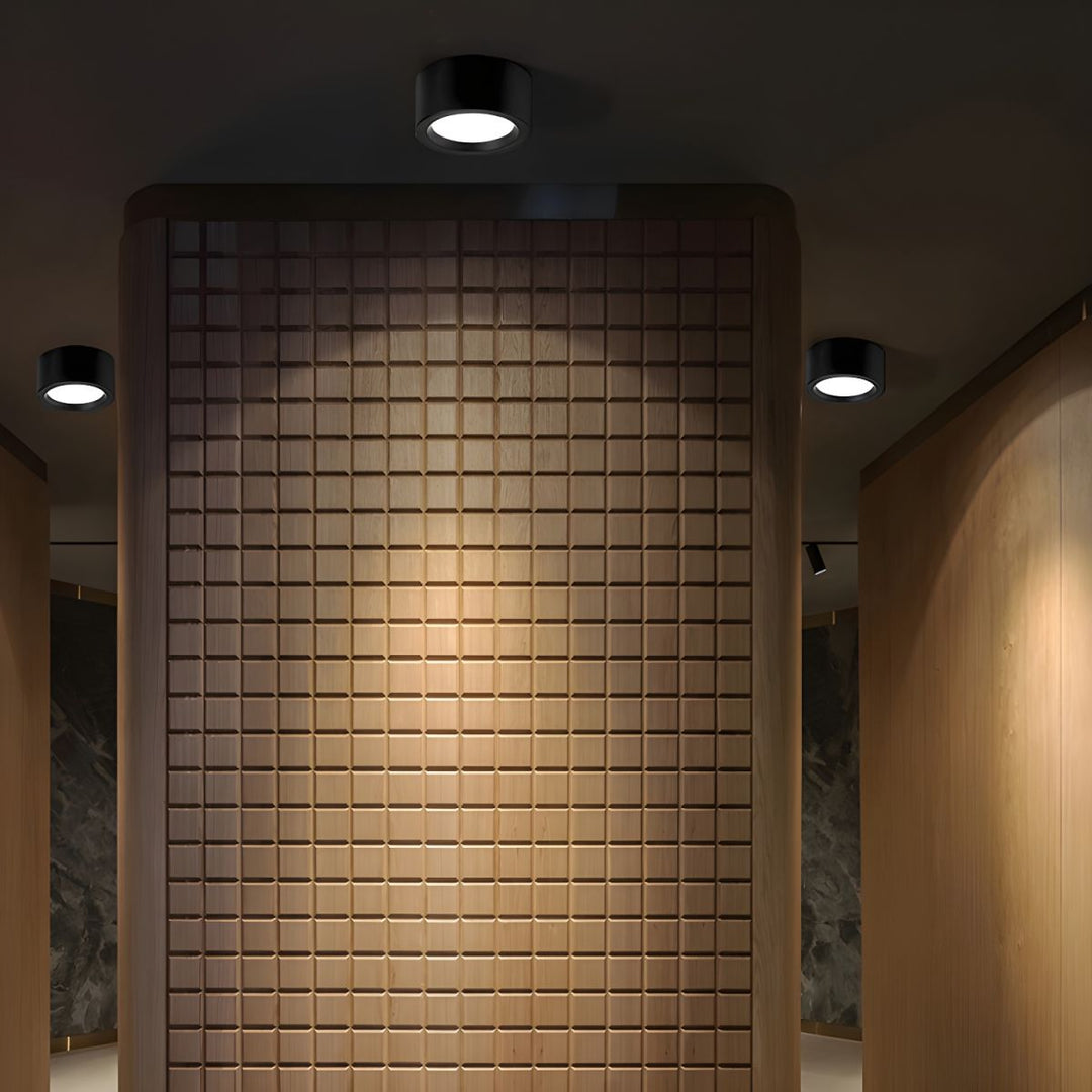 Moderne Luffon LED Deckenleuchte – Energieeffiziente Deckenlampe für Wohnzimmer, Küche, Esszimmer 9